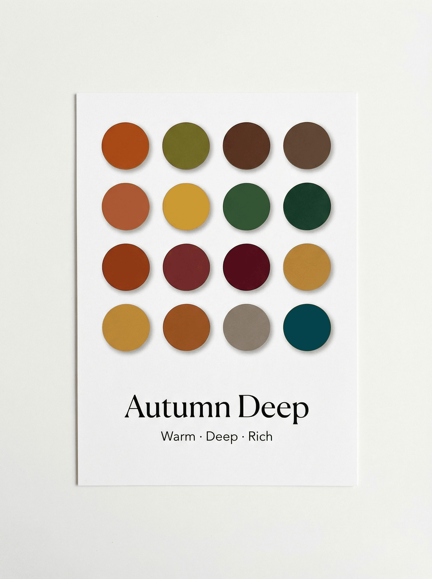 Autumn color season palette